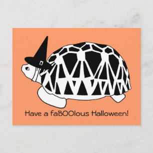 Burmese Star Tortoise Witch Halloween Card (bw)