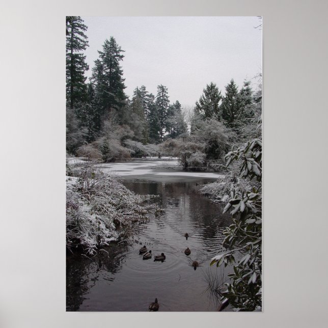 Burnaby's Central Park: Half-frozen Lower Pond Poster (Front)