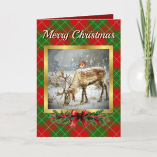 Burnett Stag & Robin Tartan Personalised  Holiday Card