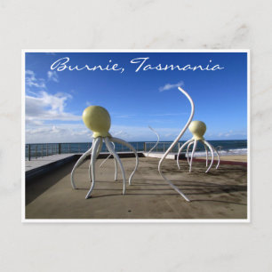 burnie octopus postcard