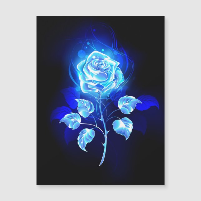 Burning Blue Rose (Front)