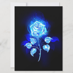 Burning Blue Rose Announcement