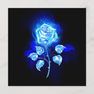 Burning Blue Rose Programme
