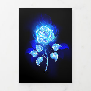 Burning Blue Rose Tri-Fold Programme