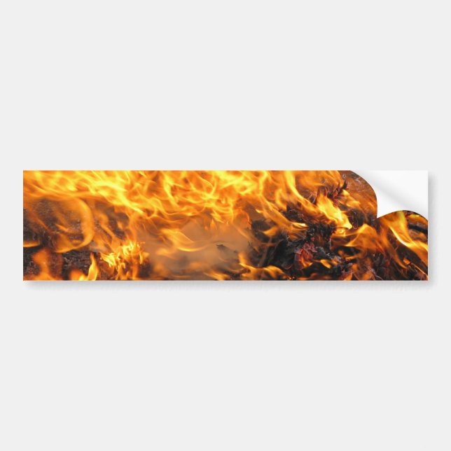 Burning Brush Bumper Sticker (Front)