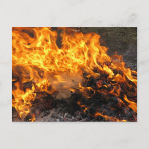 Burning Brush Postcard