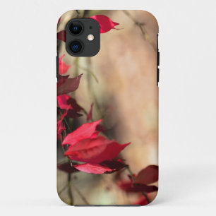 Burning Bush Autumn Foliage - Euonymus alatus iPhone 11 Case
