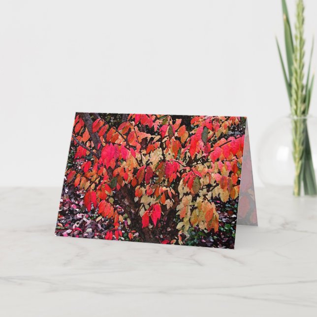 Burning Bush Mothers Day Card (Front)