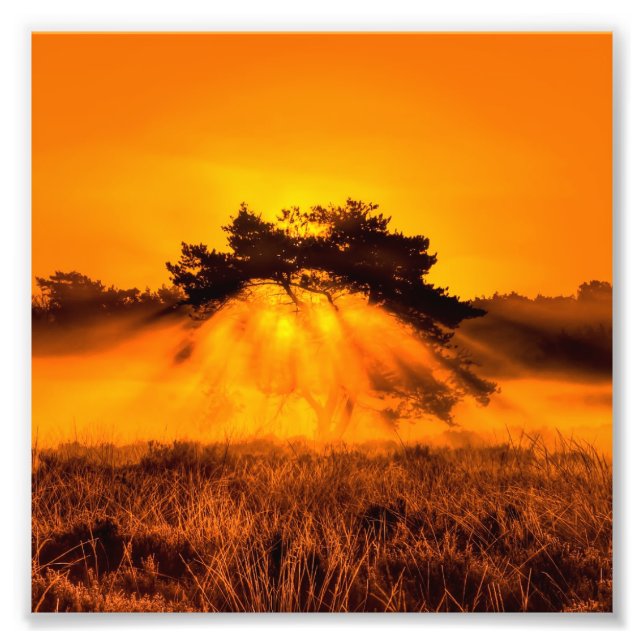 Burning Bush Photo Print (Front)