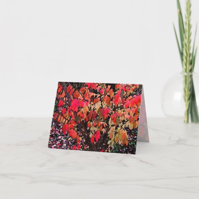 Burning Bush Thank You Card (Front)