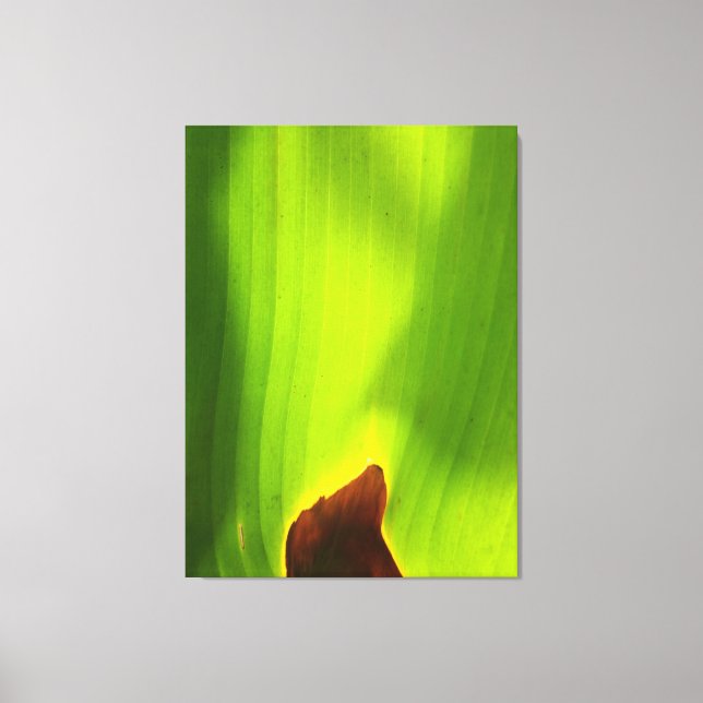Burning Edge of Life Abstract Green Leaf Nature Canvas Print (Front)
