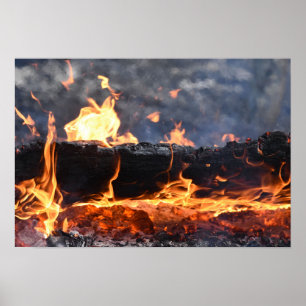 Burning Log Poster