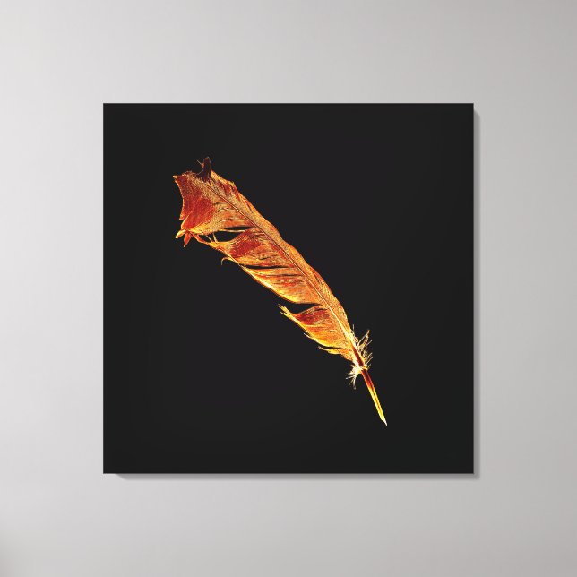 Burning Raven's Feather for Crow-lovers Canvas Print (Front)