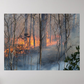 Burning Smoke Poster