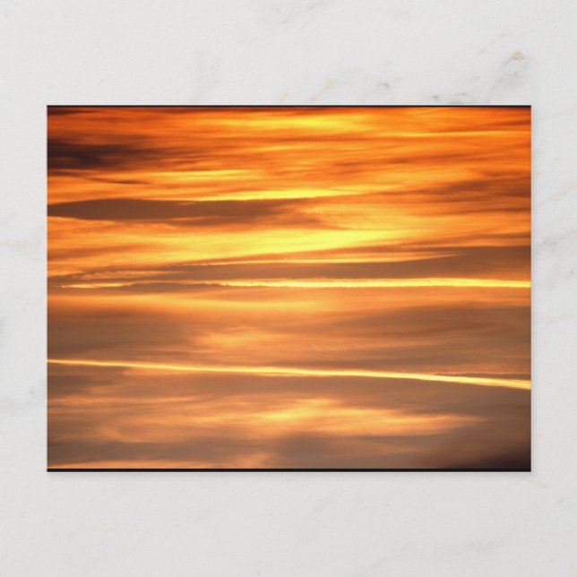 Burnished Gold Postcard (Front)