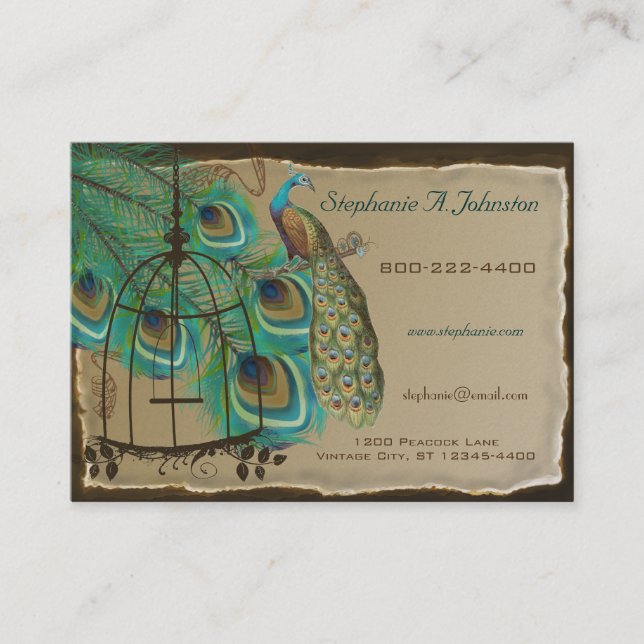 Burnt Edges Vintage Peacock Feathers Birdcage Business Card (Front)