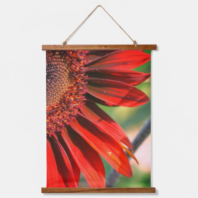 Burnt Orange Sunflower Petals Close Up Hanging Tapestry (Front)