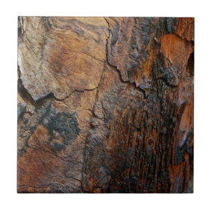 BURNT SEQUOIA TREE BARK DETAIL TILE