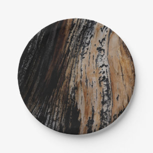 Burnt Tree Bark Paper Plate