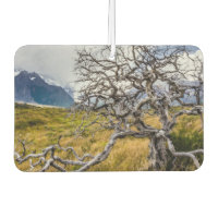 Burnt tree, Torres del Paine, Chile