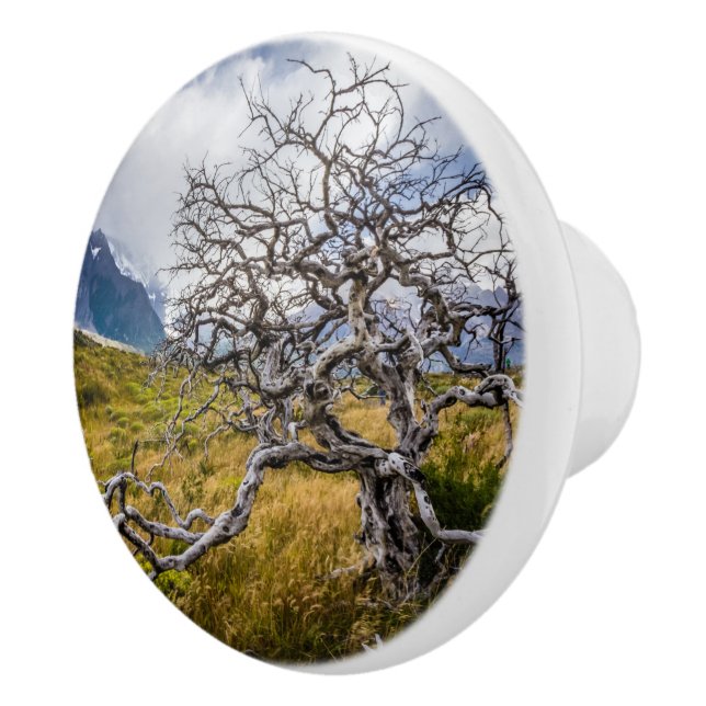 Burnt tree, Torres del Paine, Chile Ceramic Knob (Right)