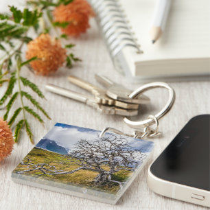 Burnt tree, Torres del Paine, Chile Key Ring