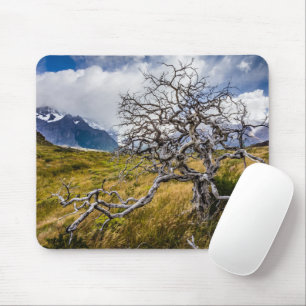 Burnt tree, Torres del Paine, Chile Mouse Mat