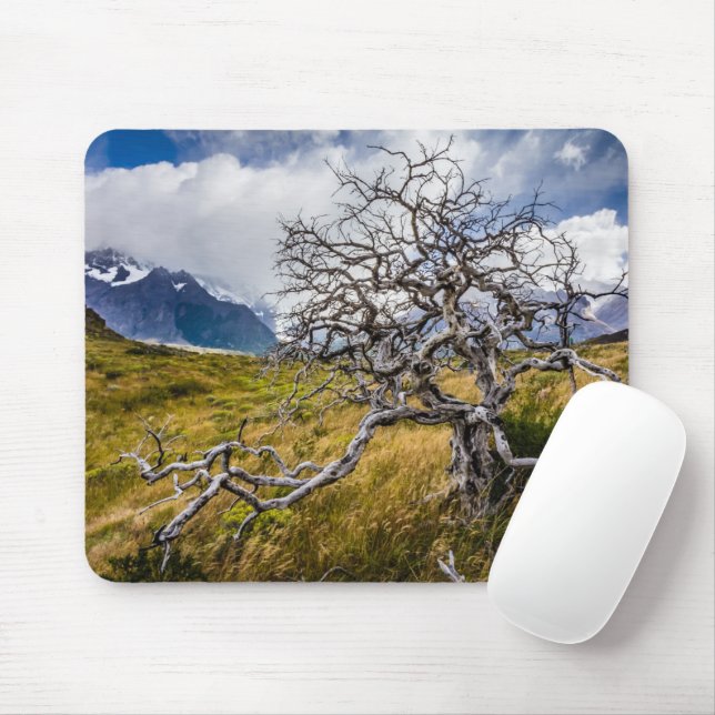 Burnt tree, Torres del Paine, Chile Mouse Mat (With Mouse)
