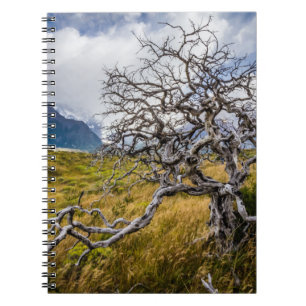 Burnt tree, Torres del Paine, Chile Notebook