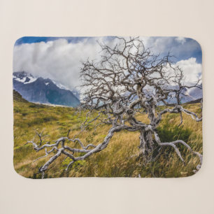 Burnt tree, Torres del Paine, Chile Sherpa Blanket