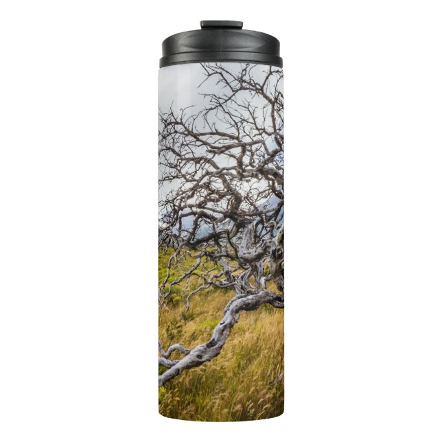 Burnt tree, Torres del Paine, Chile Thermal Tumbler (Front)