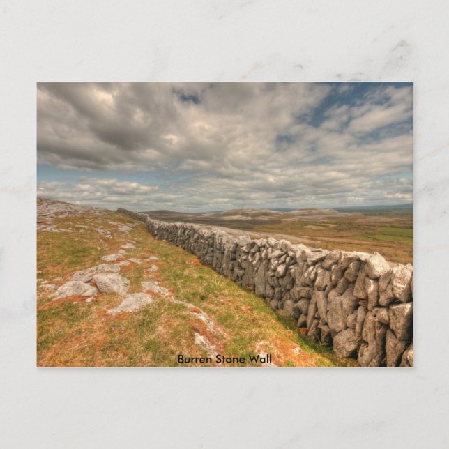 Burren Stone Wall Postcard (Front)
