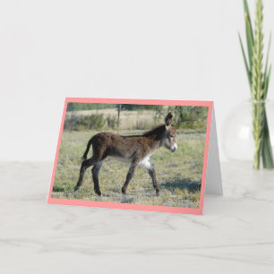 "Burrito Baby Card" Announcement