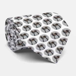 Burro Frenzy (Choose Colour) Tie
