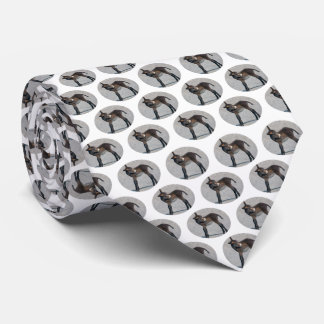 Burro Frenzy (Choose Colour) Tie