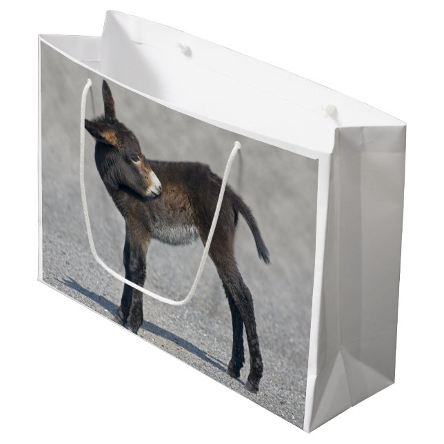 Burro Gift Bag (Front Angled)