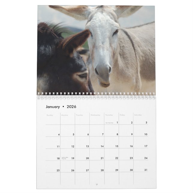 Burro & Horse Calendar (Jan 2026)