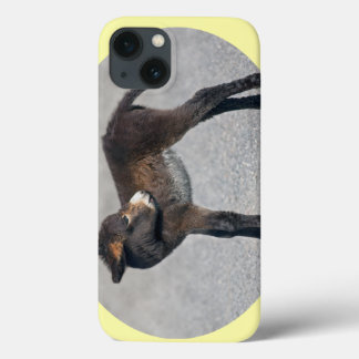 Burro iPad Case