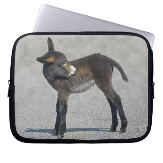 Burro Laptop Sleeve