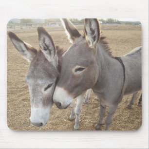 Burro Love Mouse Mat