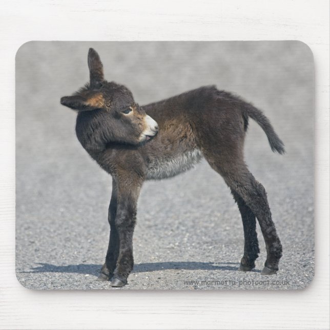 Burro Mousemat (Front)