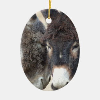 Burro Ornament