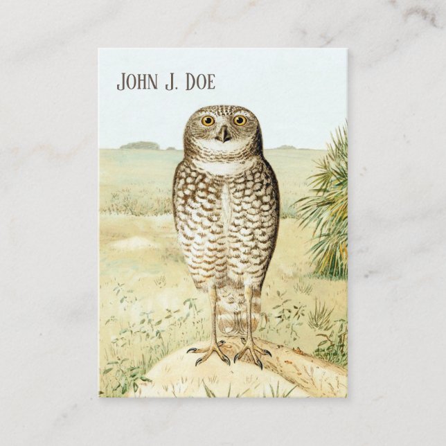 Burrowing Owl 2-Sided Business Card for Birders (Front)