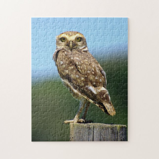 Burrowing Owl Bird of Prey  Jigsaw Puzzle (Vertical)