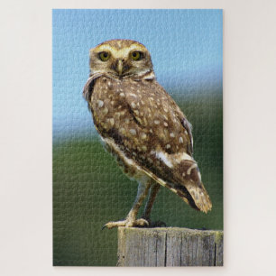 Burrowing Owl Bird of Prey Jigsaw Puzzle