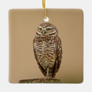 Burrowing Owl Ceramic Ornament