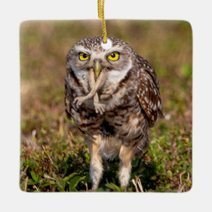 Burrowing Owl Ceramic Ornament
