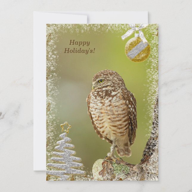 Burrowing Owl Christmas Card (Front)