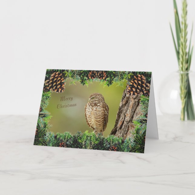 Burrowing Owl Christmas Card (Front)