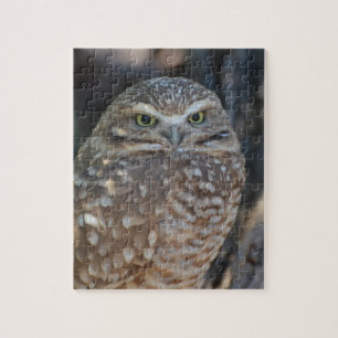 Burrowing Owl Jigsaw Puzzle